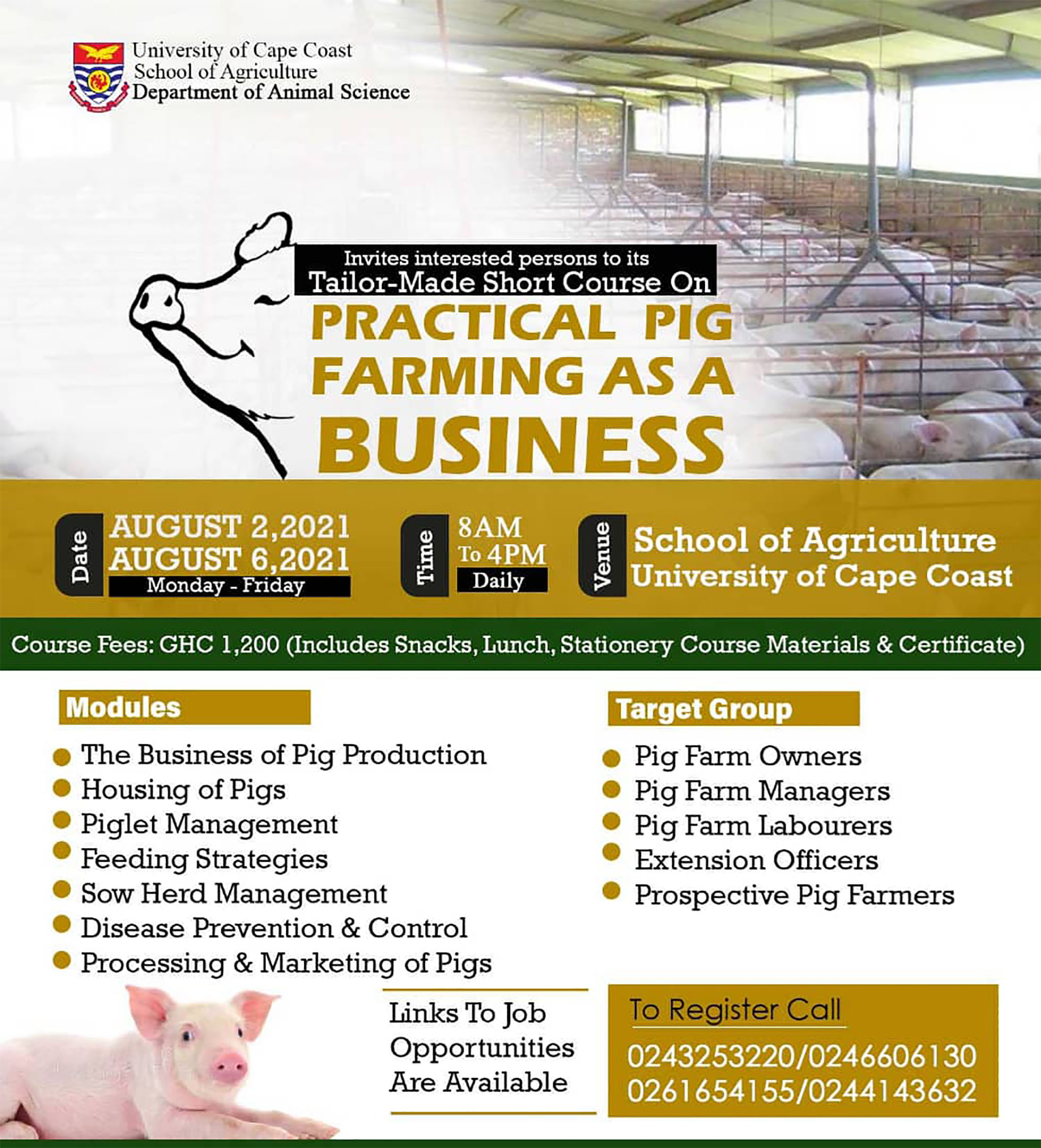 pig farming