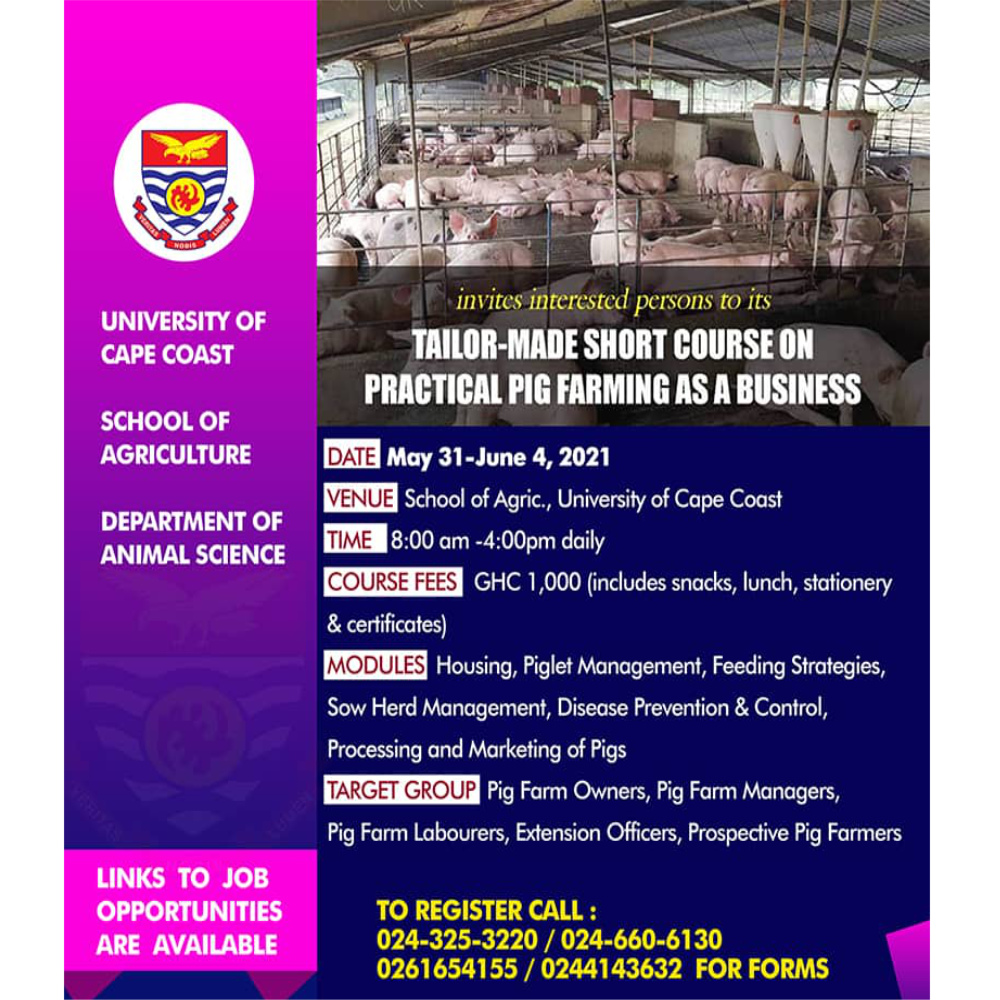 Tailor Made Short Course On Practical Pig Farming As A Business 