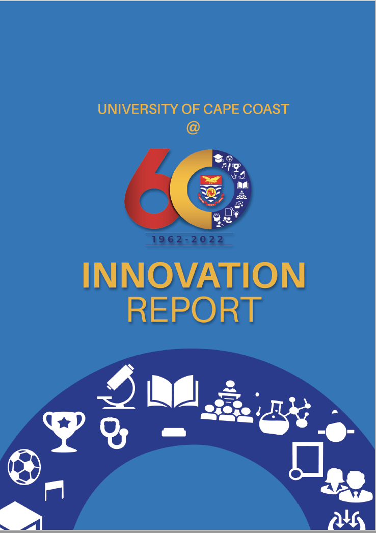 Innovation Report