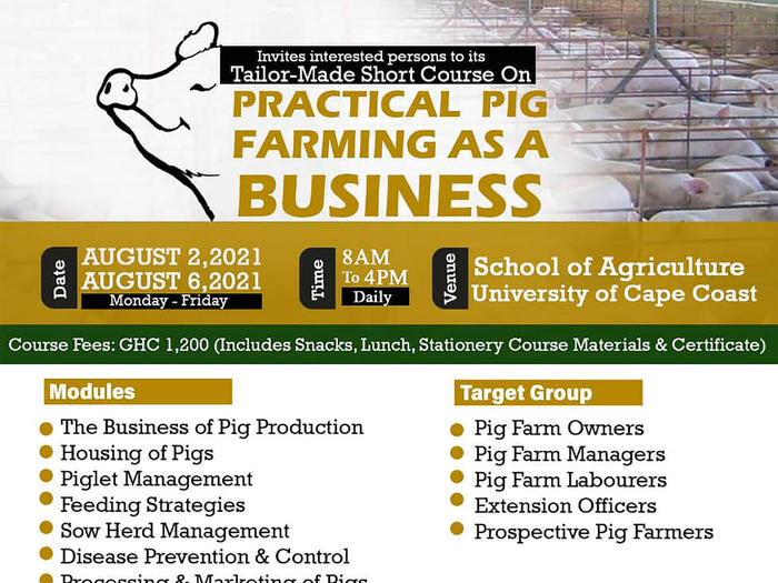 pig farming