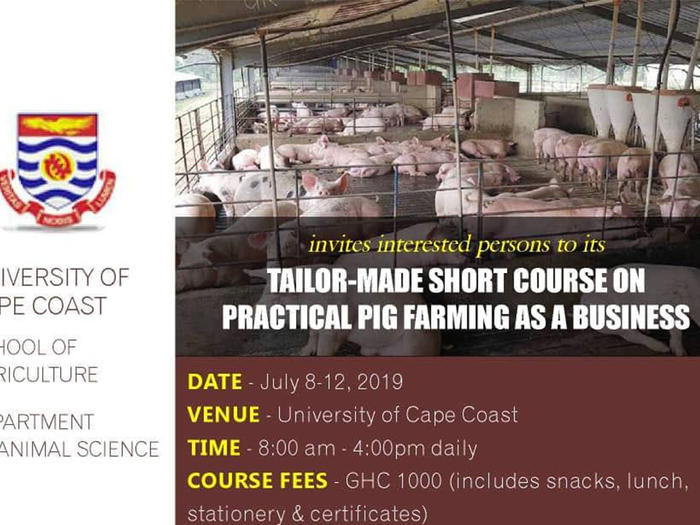 Pig farming workshop